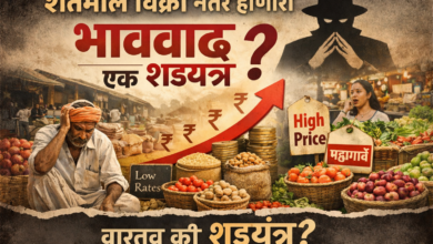 शेतमाल विक्री नंतर होणारी भाववाढ एक षडयंत्र ?