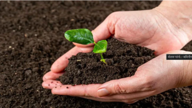 माती परीक्षण – समृद्ध शेतीची पहिली पायरी