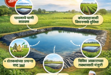 बळीराजांची चिंता मिटली – शेततळे योजना नवी संजीवनी बळीराजांची चिंता मिटली – शेततळे योजना नवी संजीवनी