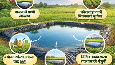 बळीराजांची चिंता मिटली – शेततळे योजना नवी संजीवनी