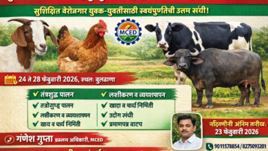 बुलढाण्यात शेळीपालन, कुक्कुट व गाय/म्हैस पालन प्रशिक्षण कार्यक्रम