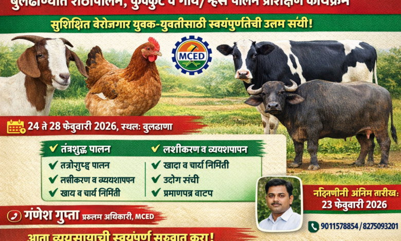 बुलढाण्यात शेळीपालन, कुक्कुट व गाय/म्हैस पालन प्रशिक्षण कार्यक्रम बुलढाण्यात शेळीपालन, कुक्कुट व गाय/म्हैस पालन प्रशिक्षण कार्यक्रम