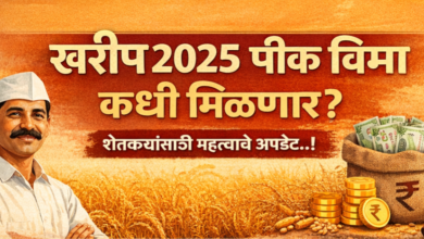 “खरीप 2025 पीक विमा कधी मिळणार?” “खरीप 2025 पीक विमा कधी मिळणार?”