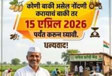 🌾 हरभरा नाफेड नोंदणीची तारीख वाढली – शेतकऱ्यांसाठी मोठी संधी! शेतकरी बांधवांसाठी एक महत्त्वाची अपडेट समोर आली आहे