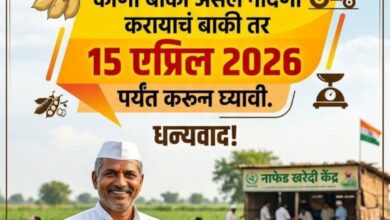 ЁЯМ╛ рд╣рд░рднрд░рд╛ рдирд╛рдлреЗрдб рдиреЛрдВрджрдгреАрдЪреА рддрд╛рд░реАрдЦ рд╡рд╛рдврд▓реА тАУ рд╢реЗрддрдХрд▒реНрдпрд╛рдВрд╕рд╛рдареА рдореЛрдареА рд╕рдВрдзреА! рд╢реЗрддрдХрд░реА рдмрд╛рдВрдзрд╡рд╛рдВрд╕рд╛рдареА рдПрдХ рдорд╣рддреНрддреНрд╡рд╛рдЪреА рдЕрдкрдбреЗрдЯ рд╕рдореЛрд░ рдЖрд▓реА рдЖрд╣реЗ ЁЯМ╛ рд╣рд░рднрд░рд╛ рдирд╛рдлреЗрдб рдиреЛрдВрджрдгреАрдЪреА рддрд╛рд░реАрдЦ рд╡рд╛рдврд▓реА тАУ рд╢реЗрддрдХрд▒реНрдпрд╛рдВрд╕рд╛рдареА рдореЛрдареА рд╕рдВрдзреА! рд╢реЗрддрдХрд░реА рдмрд╛рдВрдзрд╡рд╛рдВрд╕рд╛рдареА рдПрдХ рдорд╣рддреНрддреНрд╡рд╛рдЪреА рдЕрдкрдбреЗрдЯ рд╕рдореЛрд░ рдЖрд▓реА рдЖрд╣реЗ